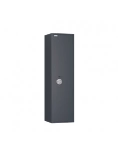 armoire-10-fusils-Armoire À Fusils Hartmann... 2